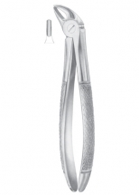 Fig. 38 lower incisors